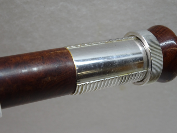 セージ　グラファイト２